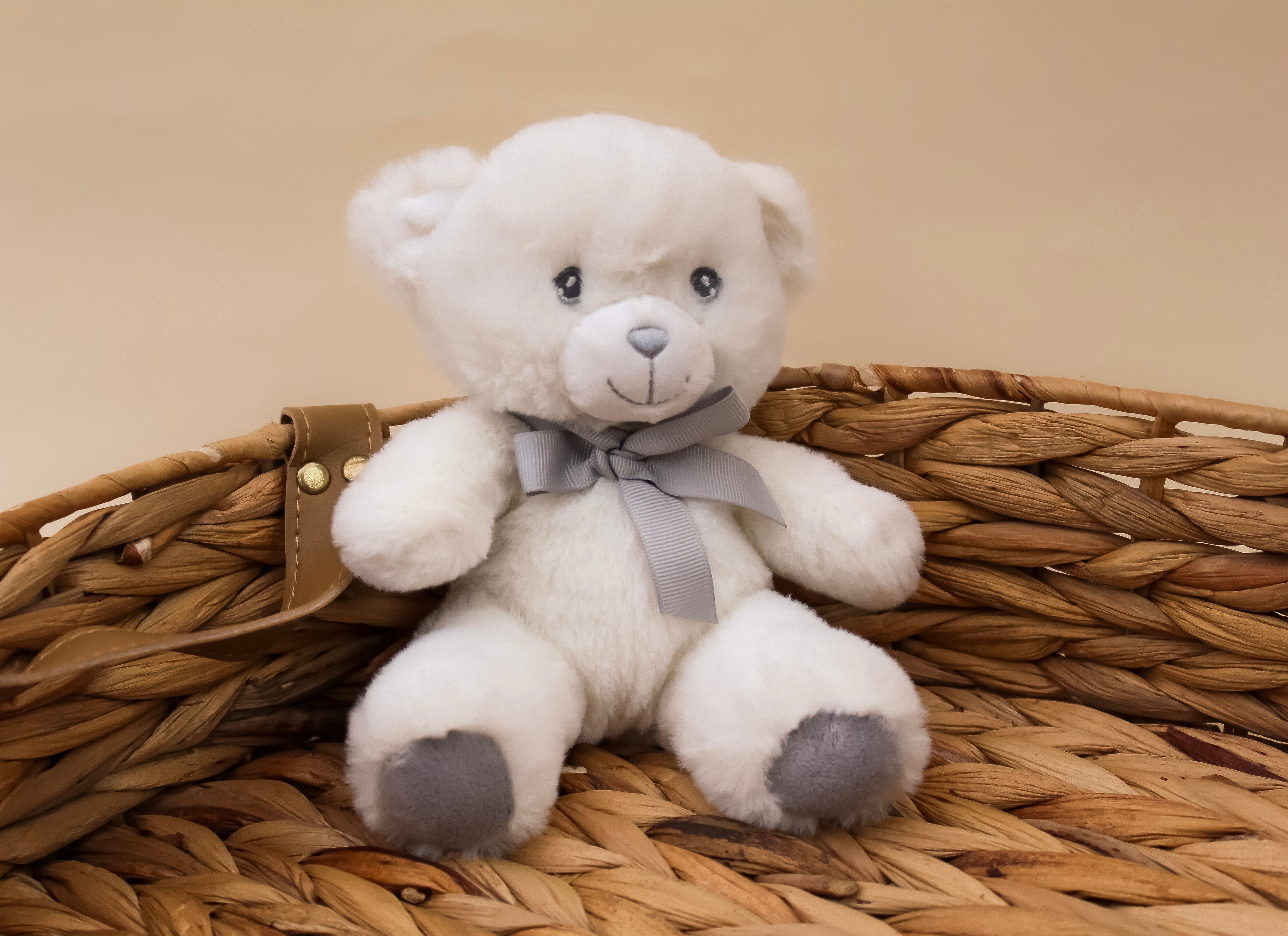 White Baby Bear Soft Toy