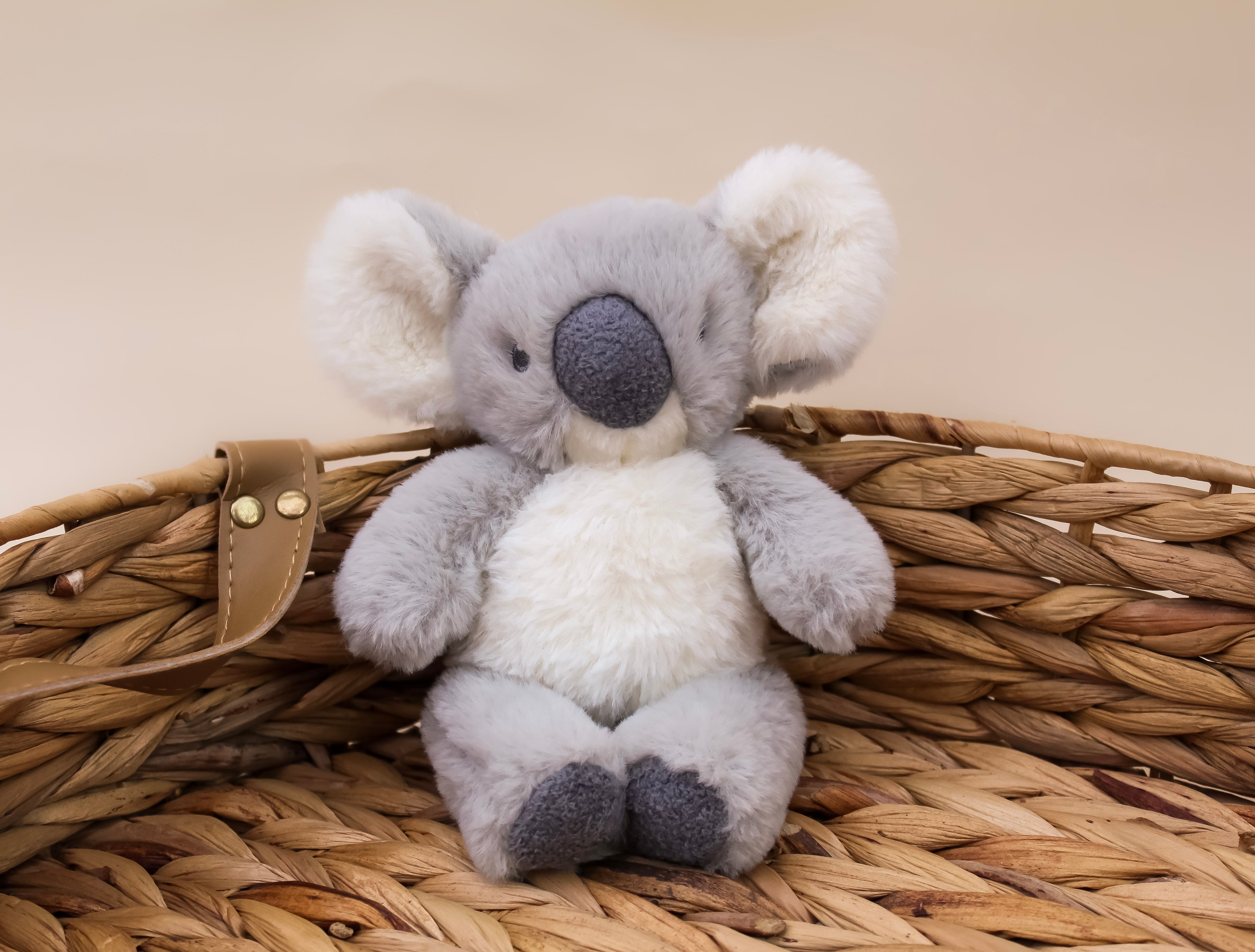 Grey & Cream Baby Koala Soft Toy