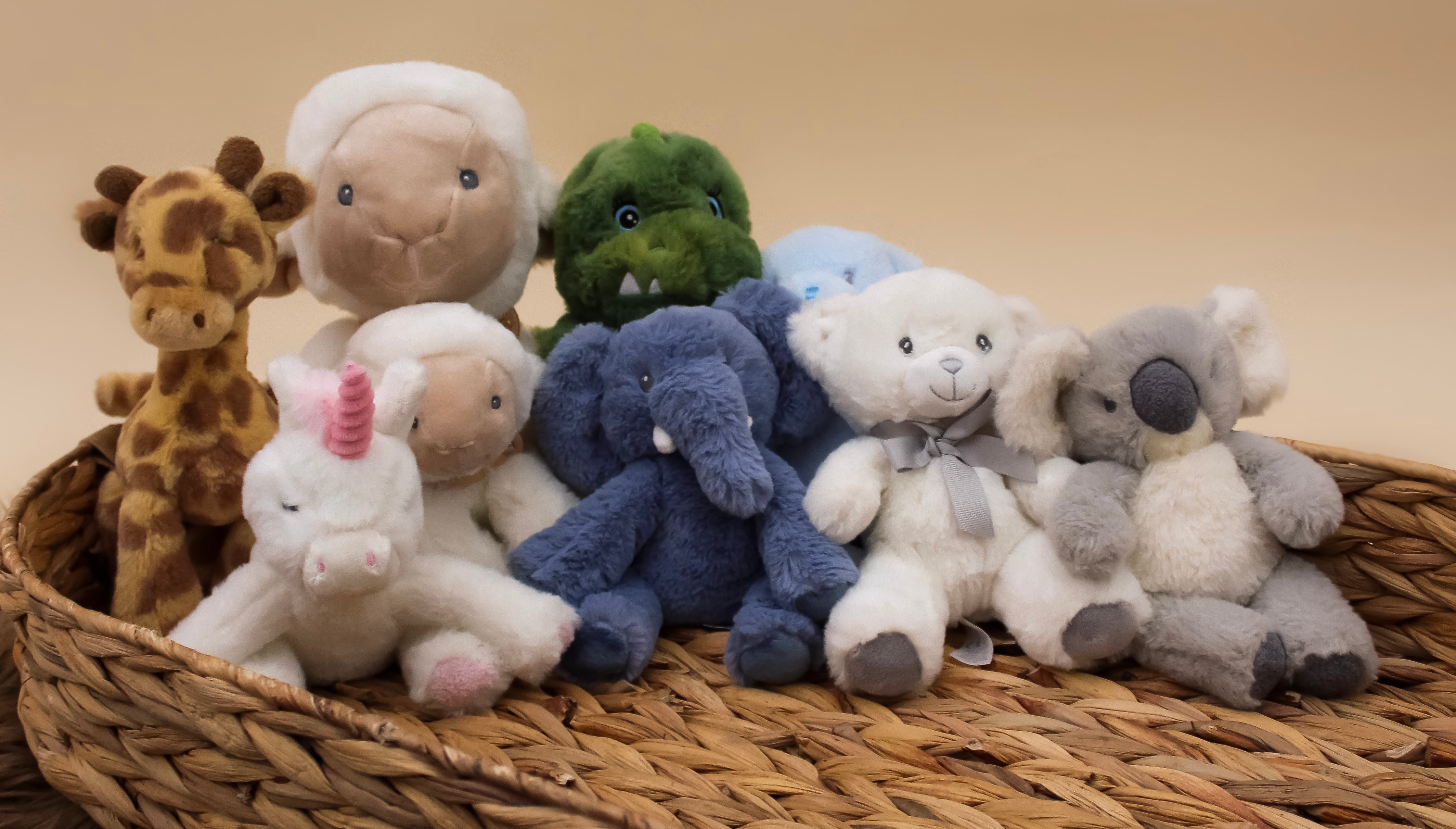 Grey & Cream Baby Koala Soft Toy