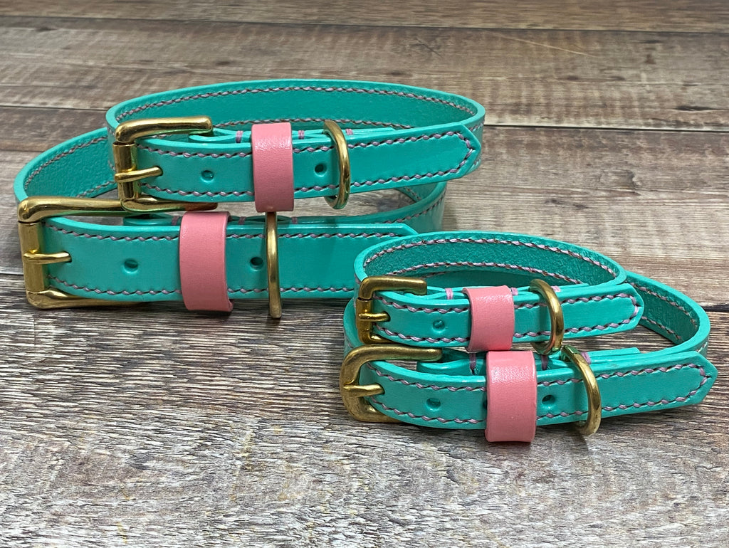 Turquoise Full Stitched Collar w/Pink Keep