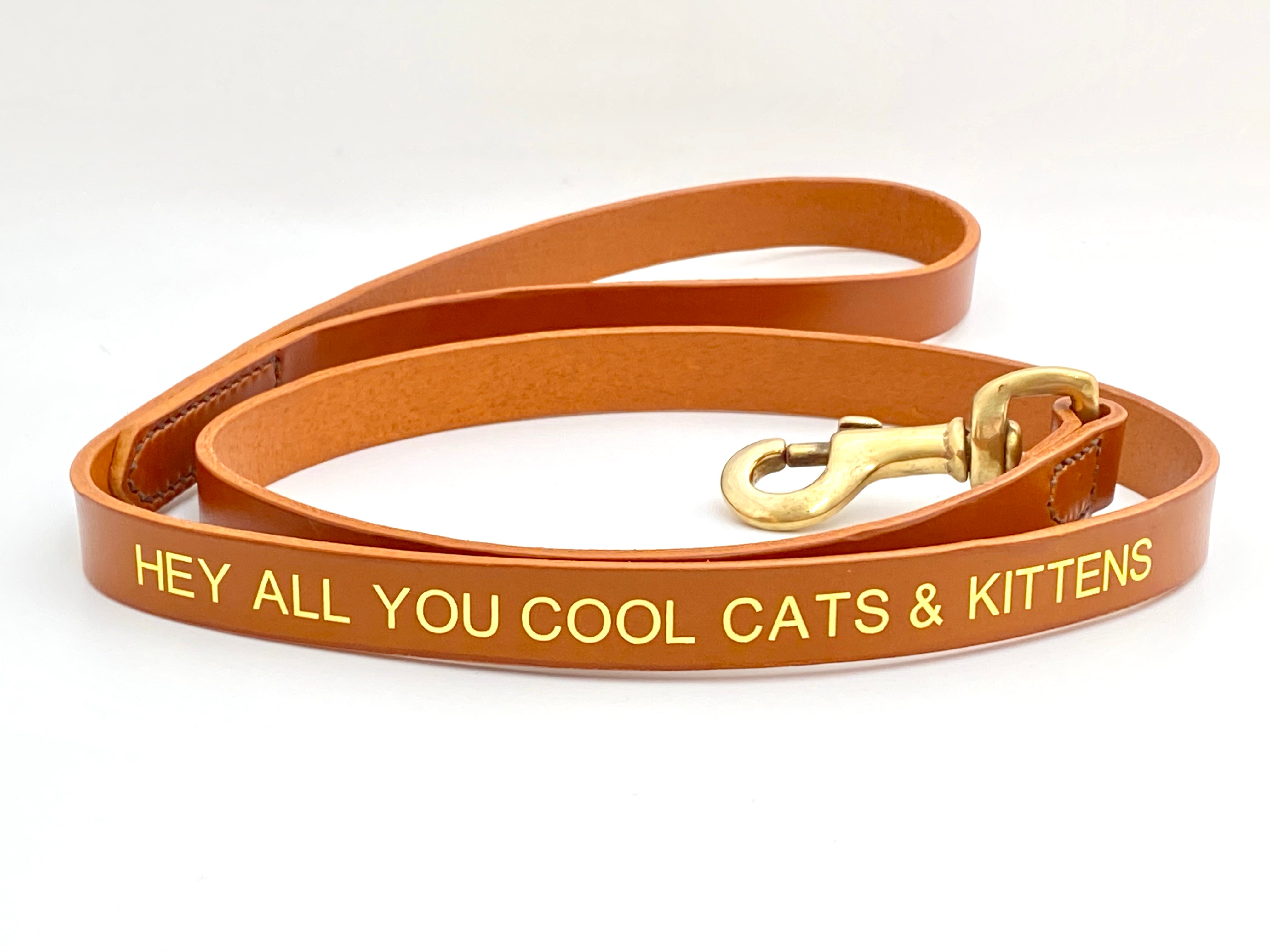 hey all you cool cats and kittens leather dog lead