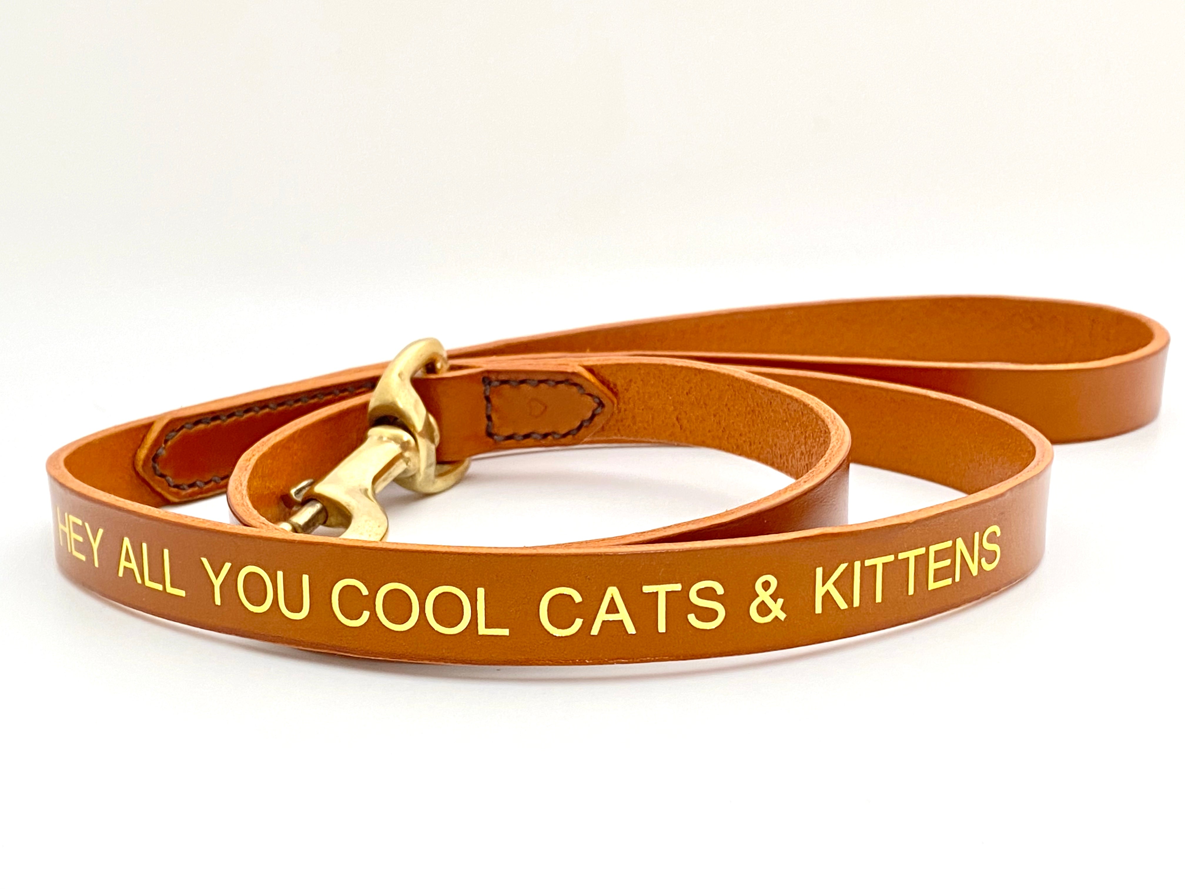 cool cats and kittens dog leash