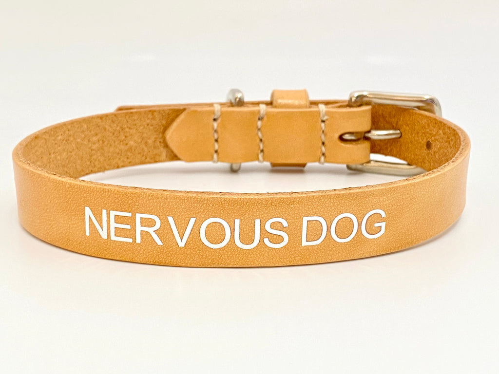 nervous dog collar