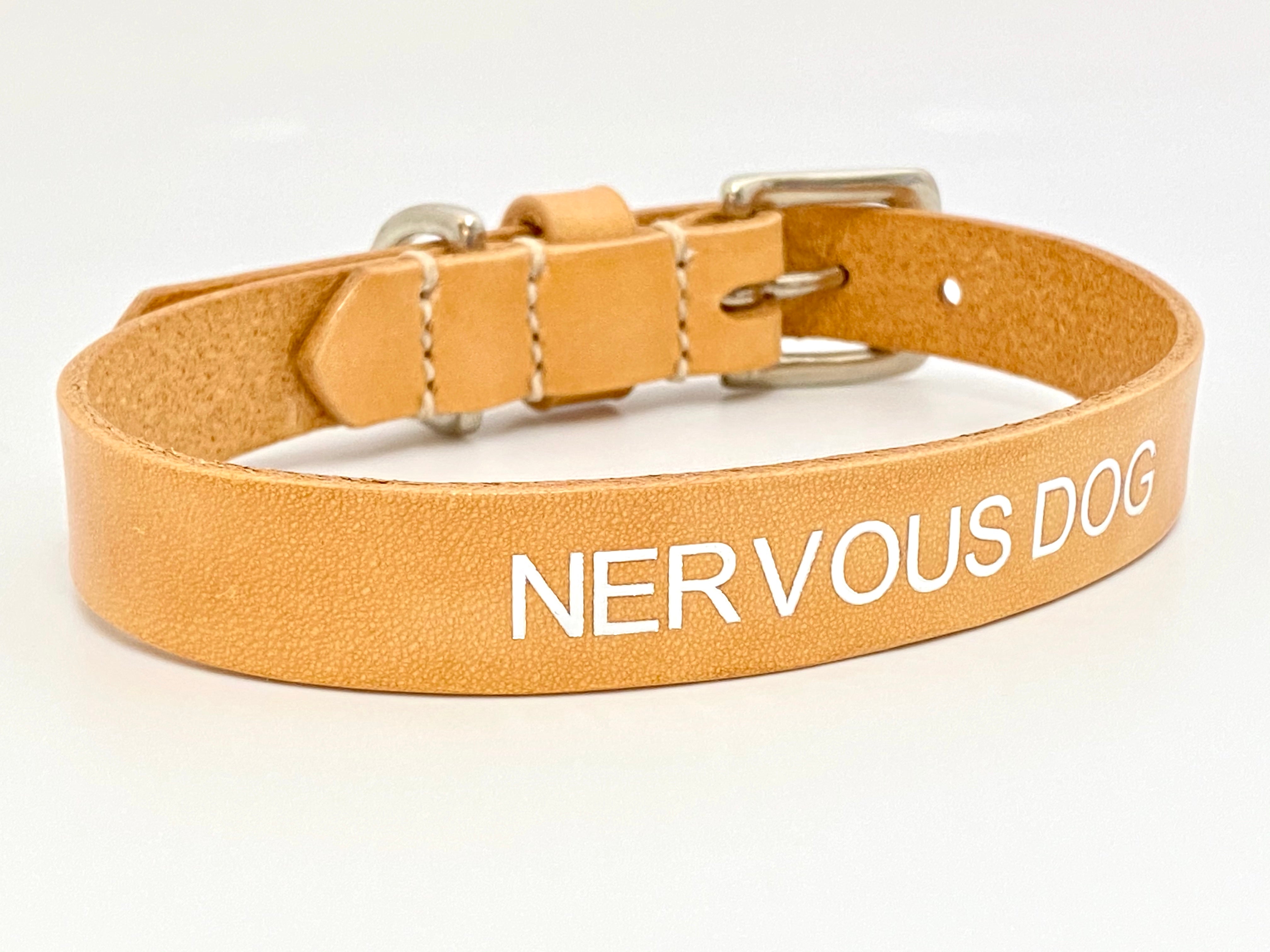 personalised leather dog collar