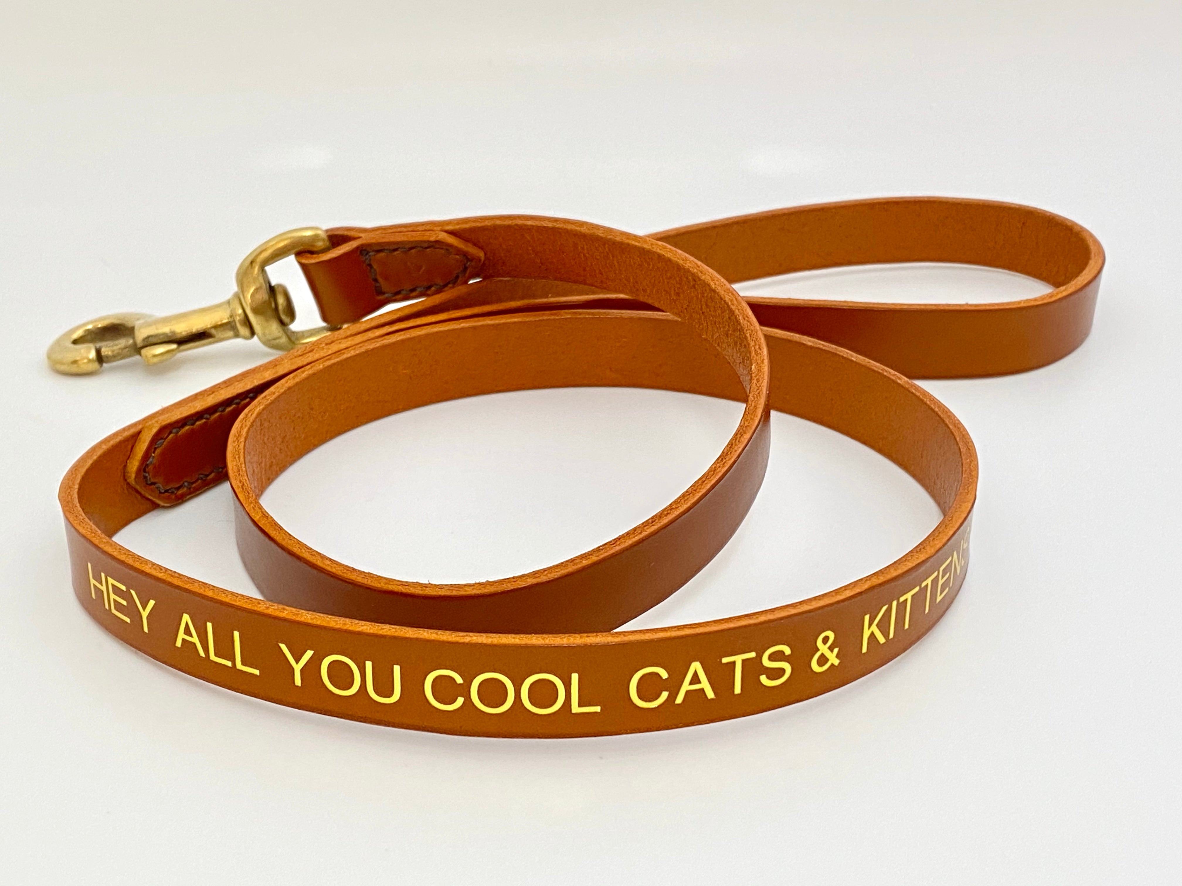 cool_cats_and_Kittens_leash