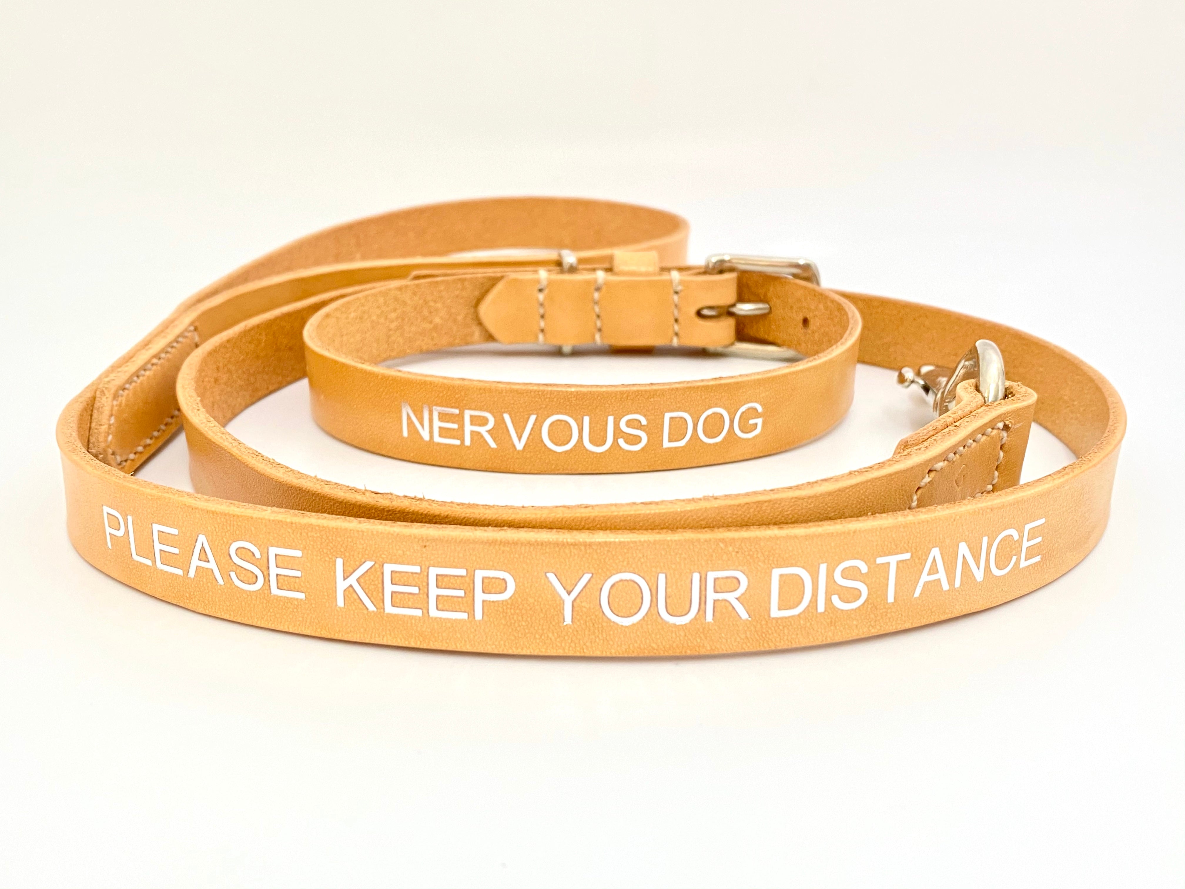 hand stamped dog collar and leash