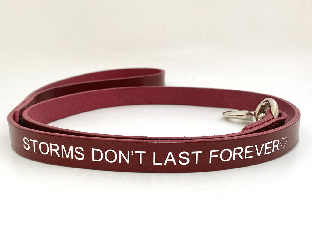 storms dont last forever dog leash