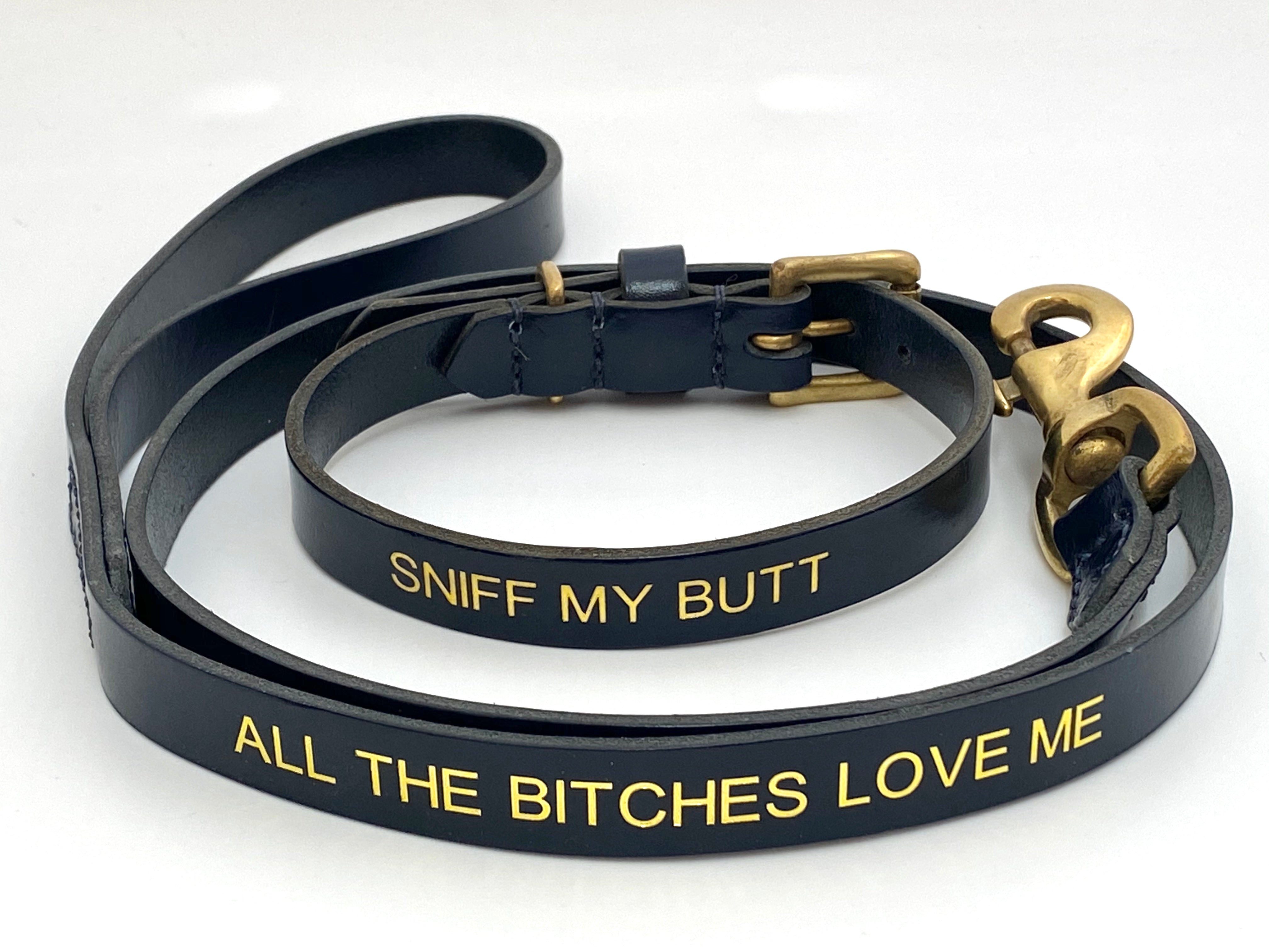 navy blue dog collar and leash set