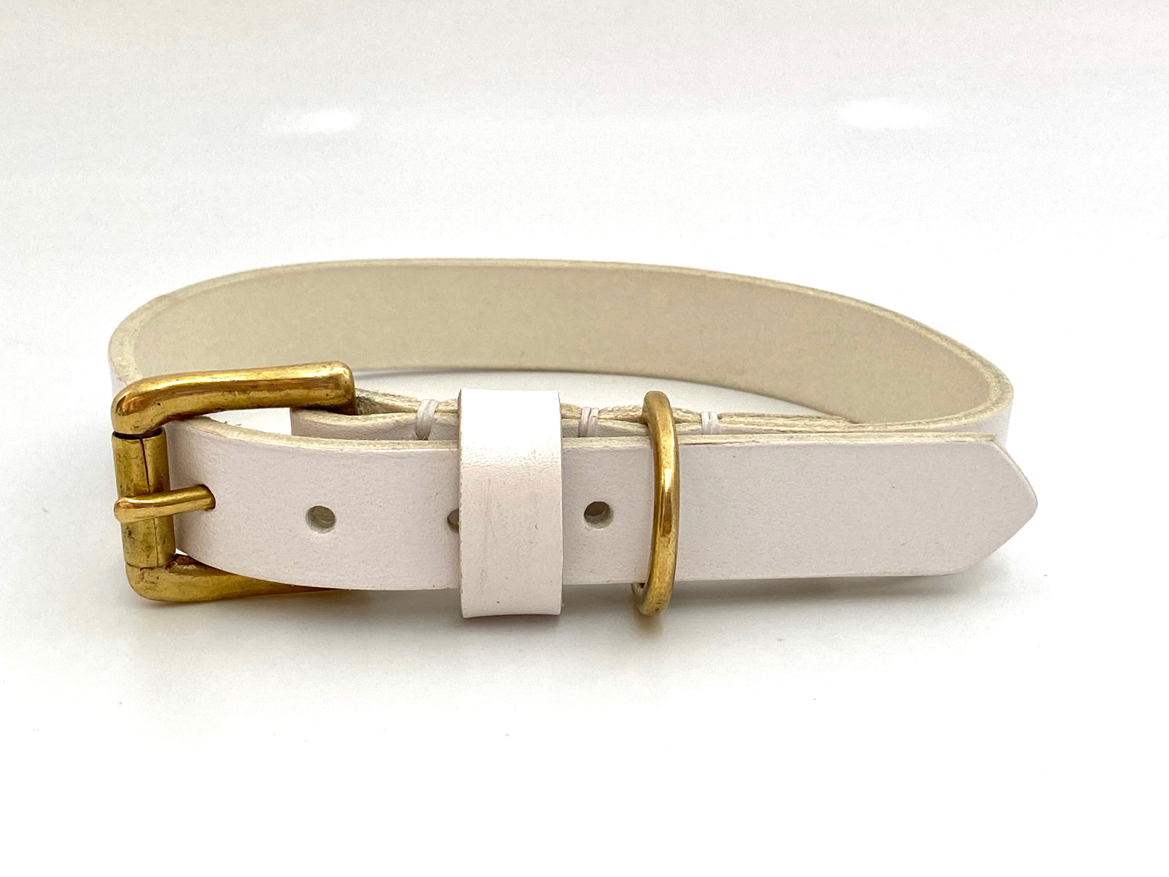 white and gold dog collar
