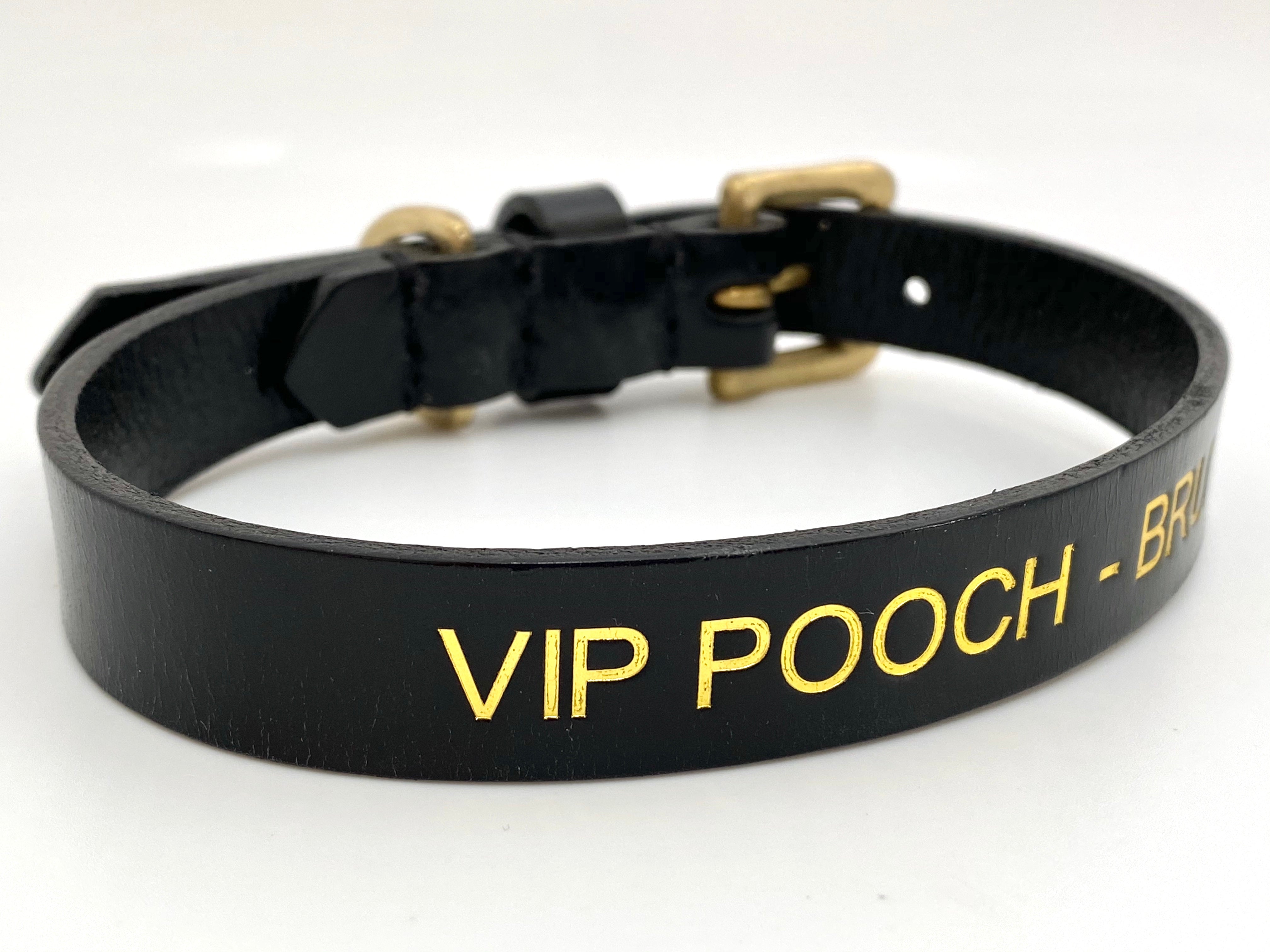 VIP dog collar