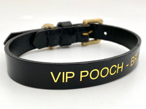 VIP dog collar