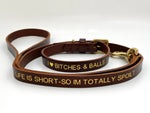 funny brown leather dog collar and lead set