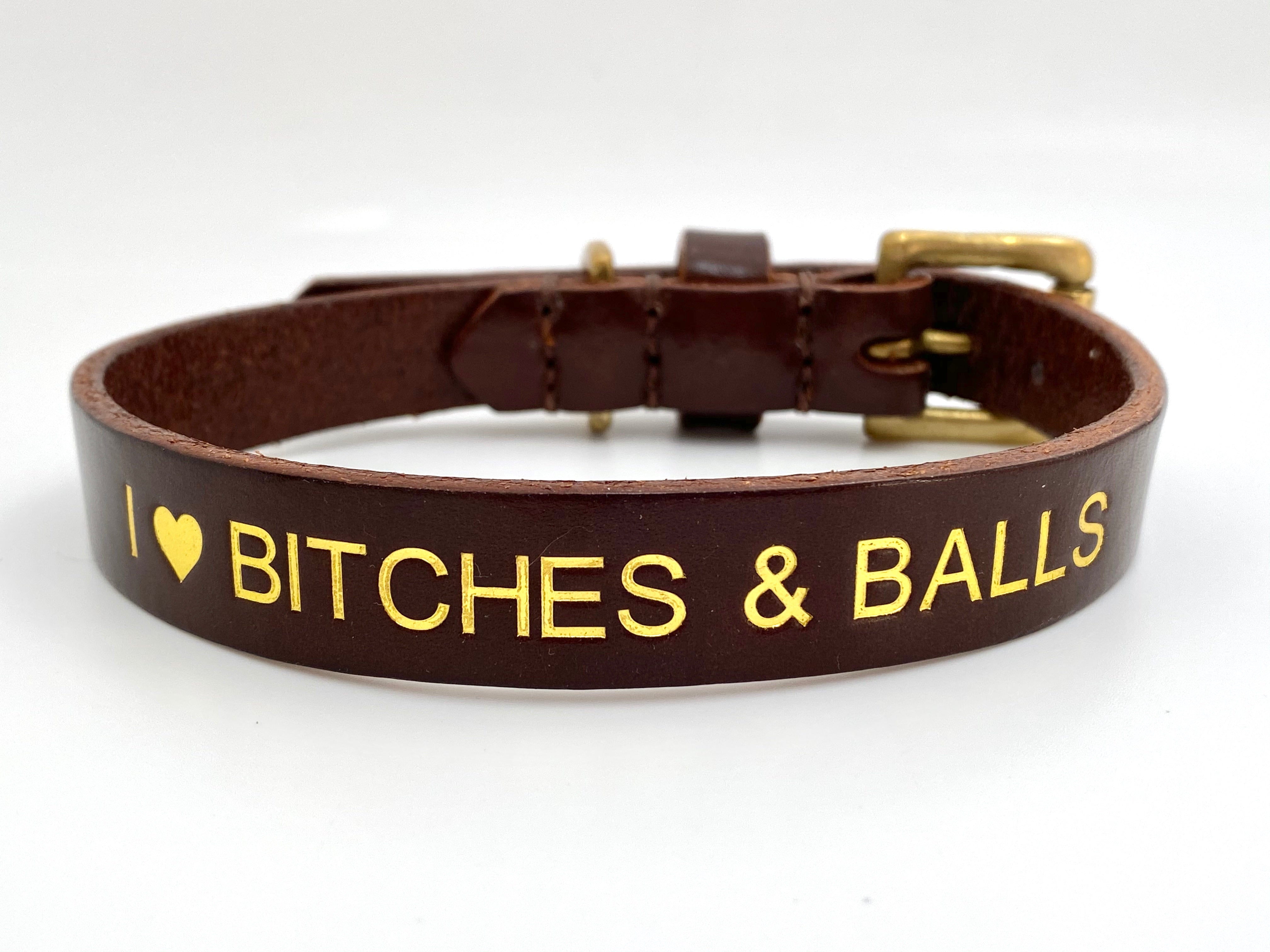 i love bitches and balls dog collar