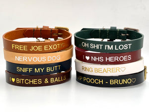 funny leather dog collars