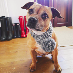 Personalised Grey Knitted Pom Pom Dog Scarf